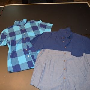 2 Large Slim Fit American Eagle Shirts